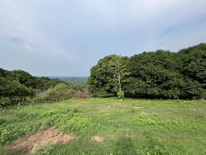 Affordable Farm Land with Majestic View