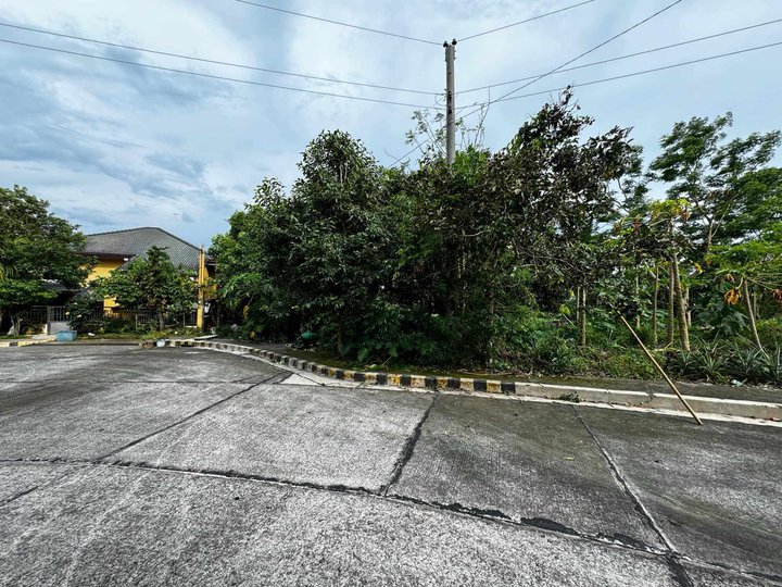 318sqm Lot for SALE in Splendido, Tagaytay