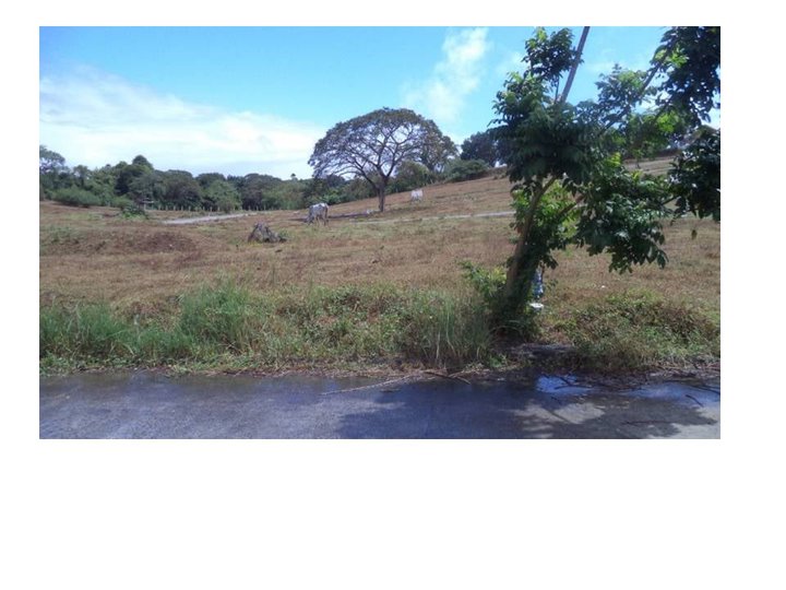 185sq.m Lot for sale