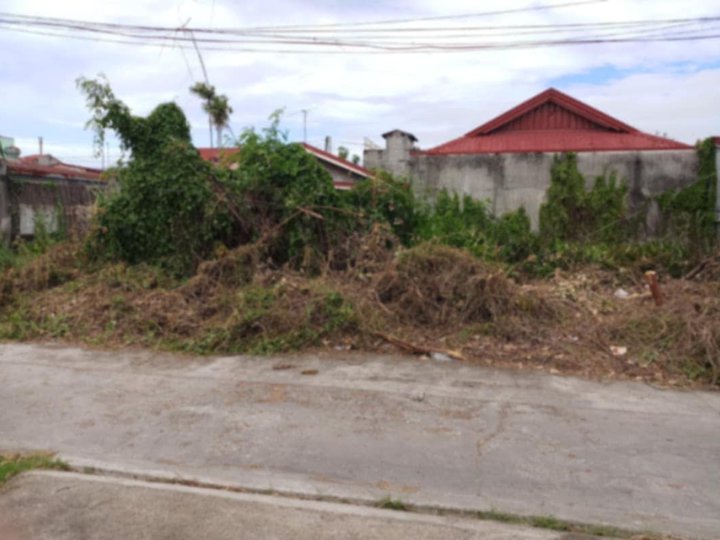 2 LOT / 120Sqm  Residential lot for sale Heritage Subdivision Malolos bulacan