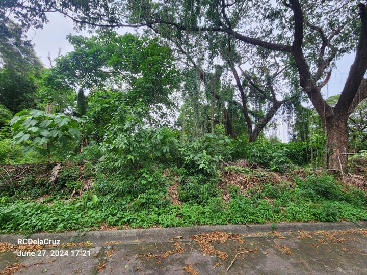 375 sqm Residential Lot For Sale in Antipolo Rizal