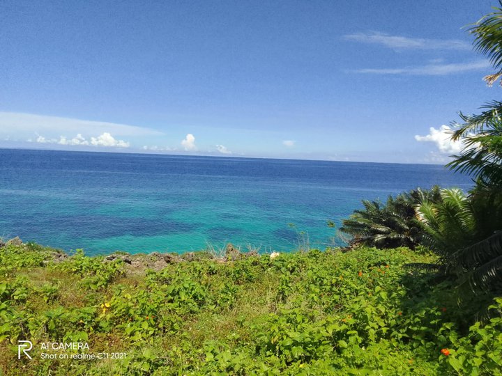 4,049 sqm Beach Property For Sale in Poro Cebu