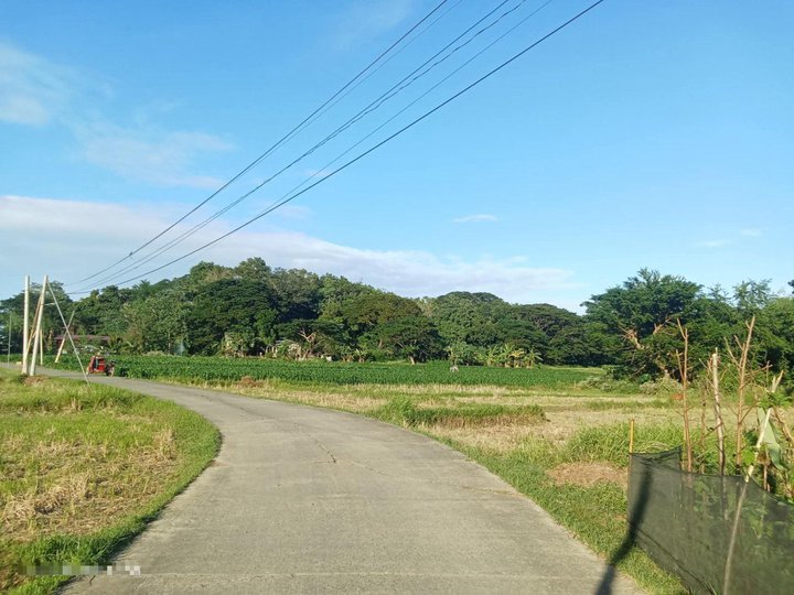 RESIDENTIAL LAND OR AGRICULTURE FARM