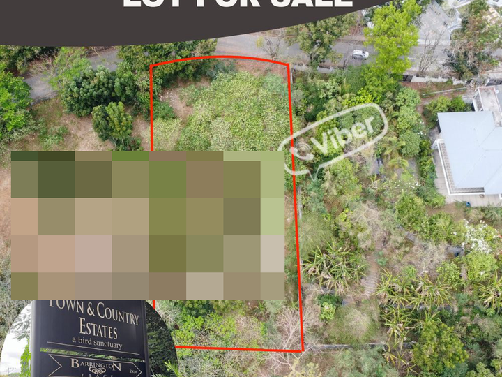 LOT FOR SALE | 1,323SQM | TOWN & COUNTRY ESTATES, ANTIPOLO