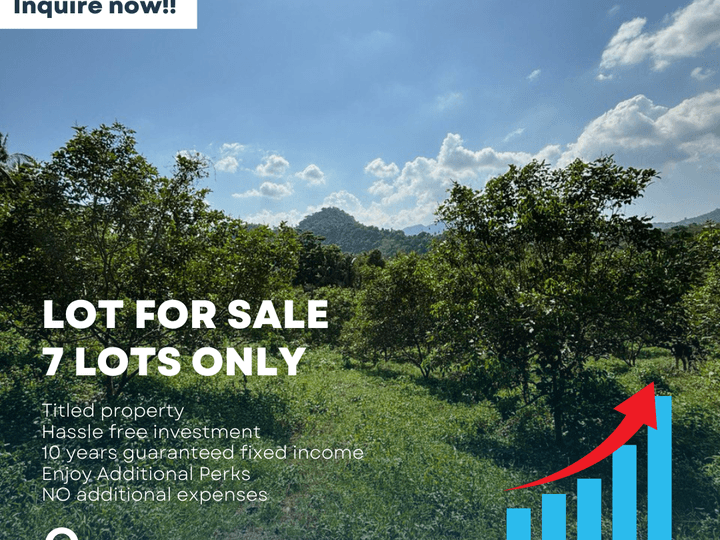 1,000 sqm Raw Land For Sale in Calauan Laguna