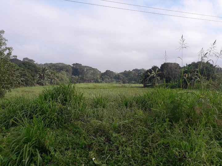 2.1 hectares Raw Land For Sale in Rodriguez Burgos  (Montalban) Rizal
