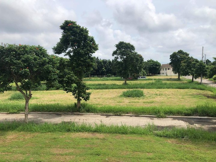 Forested 416 sqm Morningfields At Carmeltown by Sta Lucia Group of Companies in Calamba, Laguna