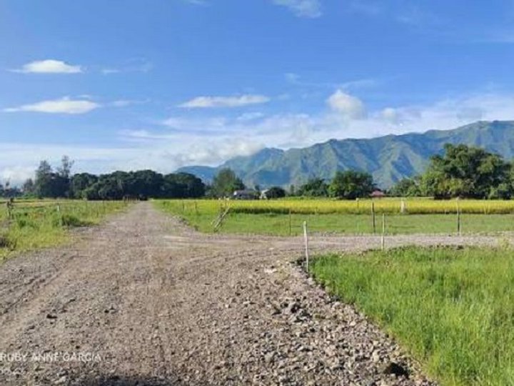 Affordable 120 sqm Lot For Sale in Morong, Rizal