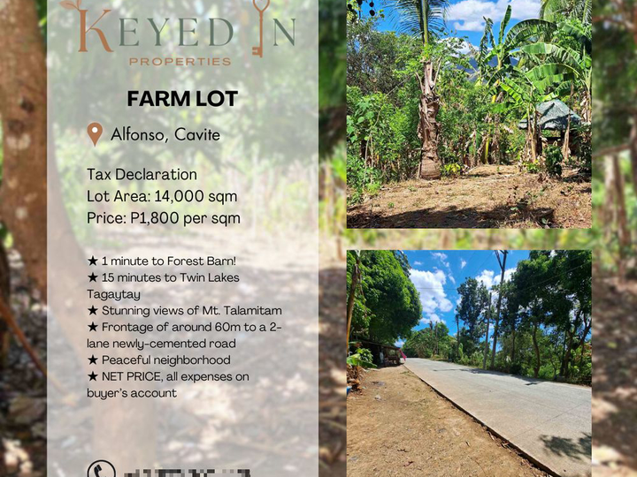 Farm Lot in Alfonso, Cavite 15 mins to TWIN LAKES Tagaytay, for sale!