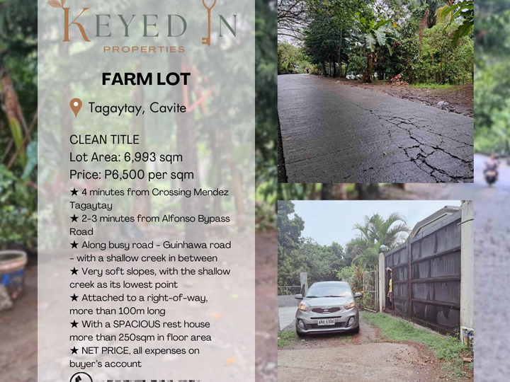 CLEAN TITLE 6993 SQM FARM LOT with REST HOUSE in Tagaytay for sale!