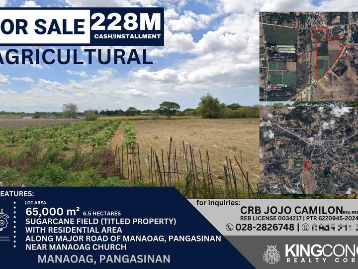 6.5 hectares Agricultural Farm For Sale in Manaoag Pangasinan