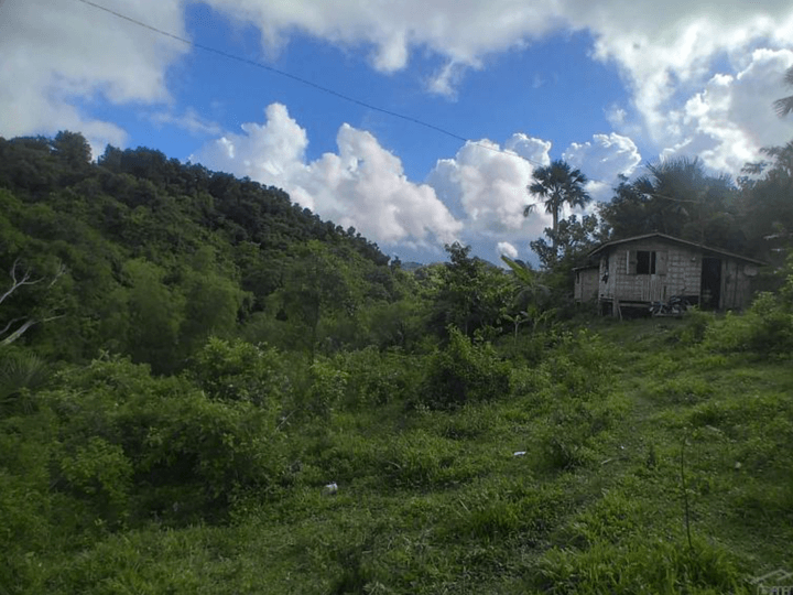 2.8 hectares Agricultural Farm For Sale in Cebu City Cebu