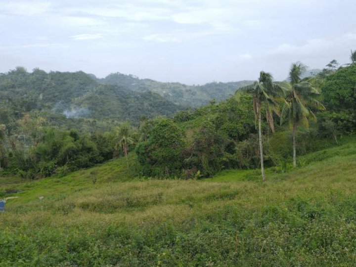 7.63 hectares Agricultural Farm For Sale in Cebu City Cebu 60m nego