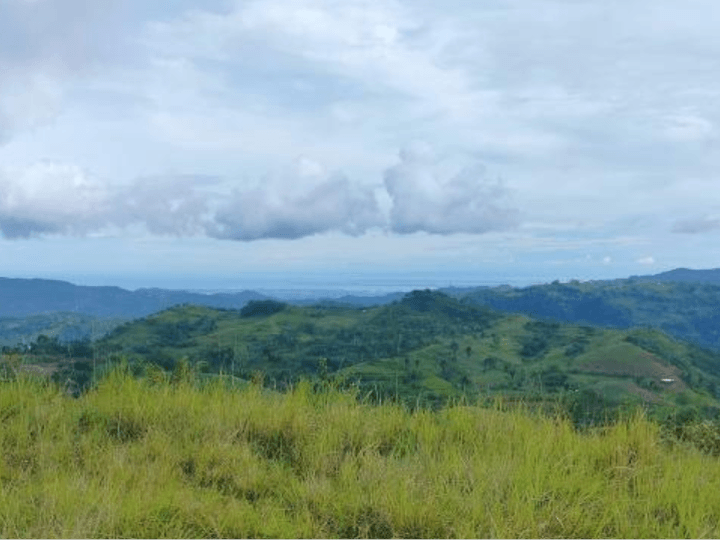 6,000 sqm Agricultural Farm For Sale in Cebu City Cebu