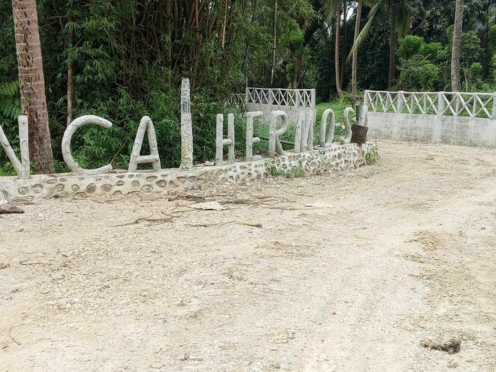 AFFORDABLE LOT FOR SALE IN ALFONSO CAVITE