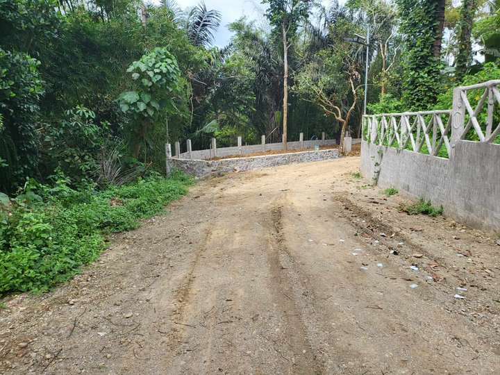 Affordable farm lot for sale with cemented road