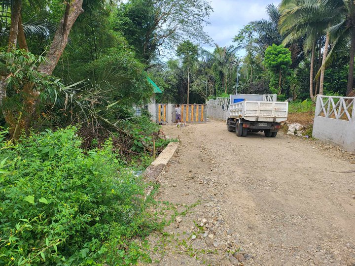 Agricultural farm lot for sale in Alfonso Cavite