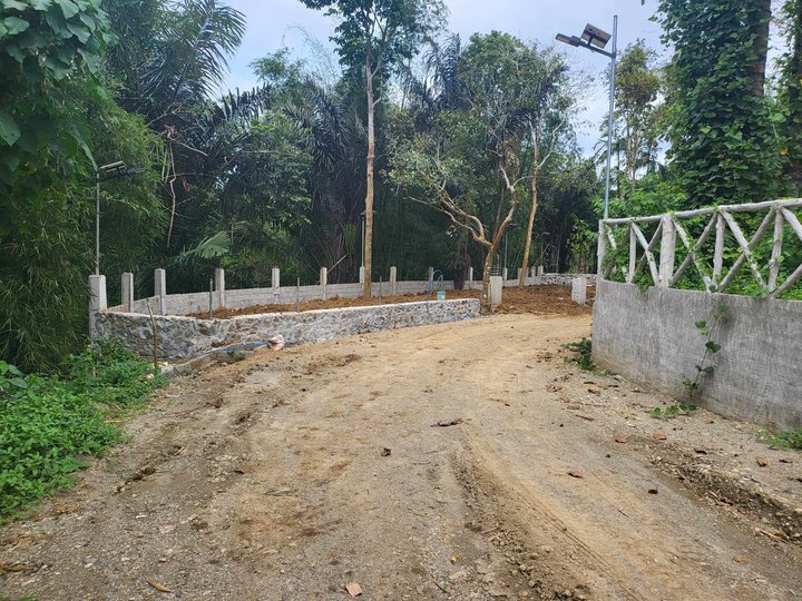 Farm lot for sale in Alfonso 500 sqm Direct Buyer only
