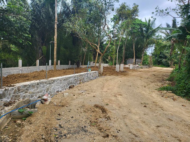 Farm lot with fruits bearing and near brgy. road
