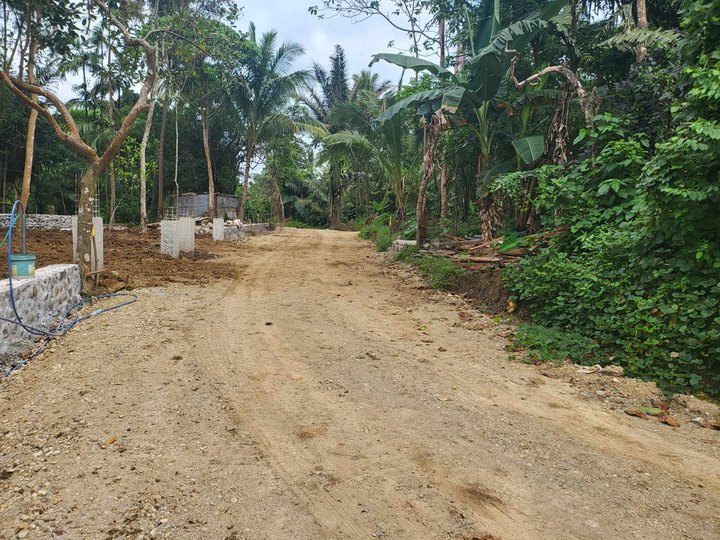 Lot for Sale in Alfonso Cavite 500 sqm only