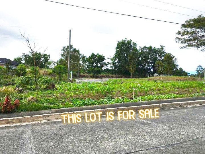 LOT FOR SALE IN TAGAYTAY CITY