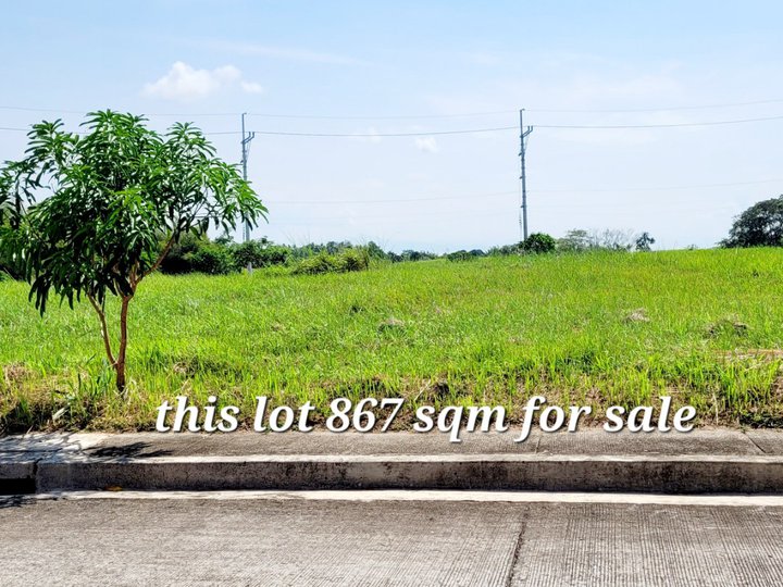 FARM AND RESIDENTIAL LOT FOR SALE IN CALAMBA LAGUNA