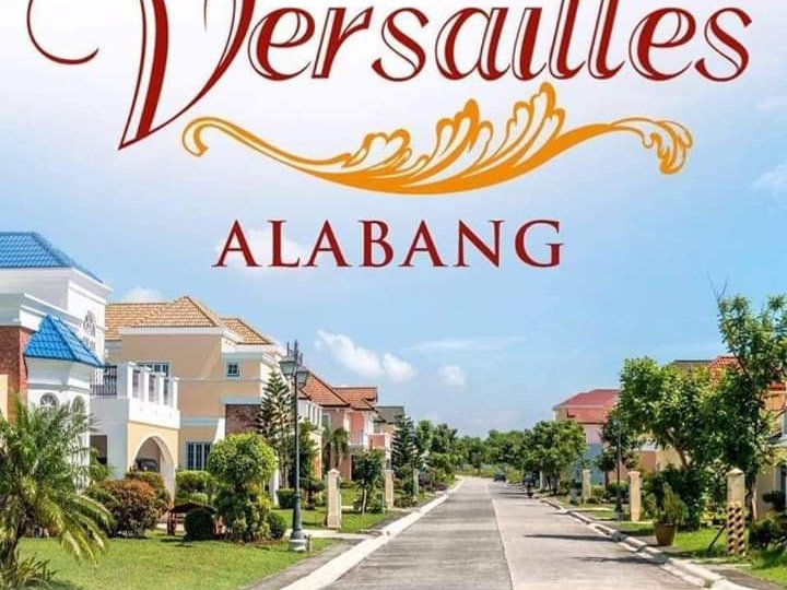 HOUSE IN LOT FOR SALE Versailles Daang Hari Road