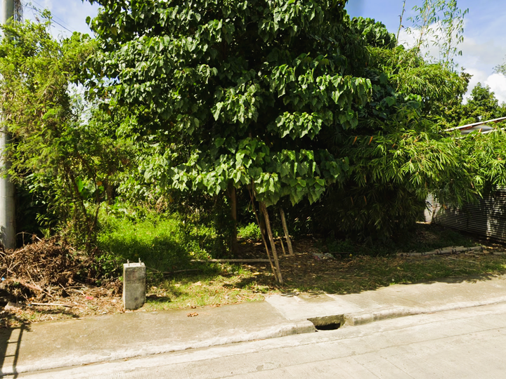 17-meter frontage commercial lot along the national highway with expandable area available.