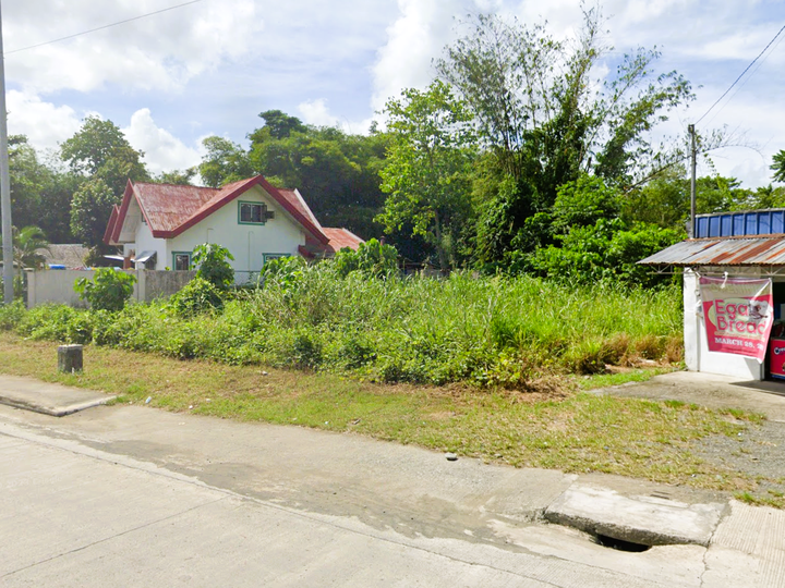 Available 21.5m frontage along national road commercial lot with expandable area at the back.