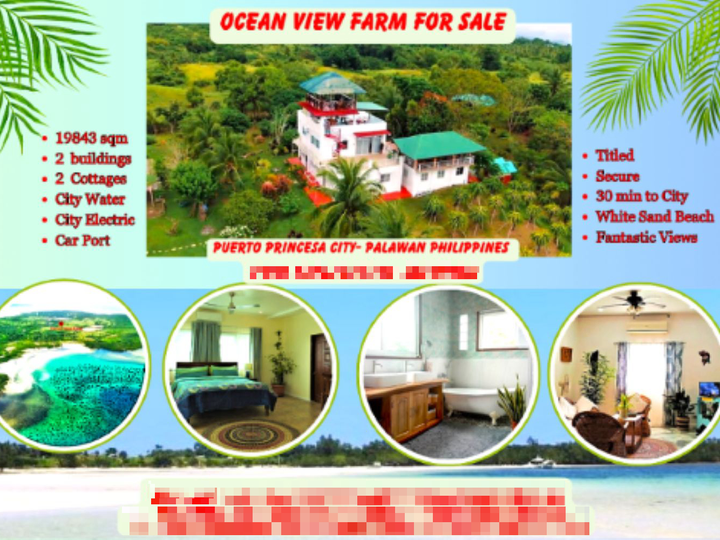 Live the Life You've Always Dreamed of at Ocean View Farm Palawan