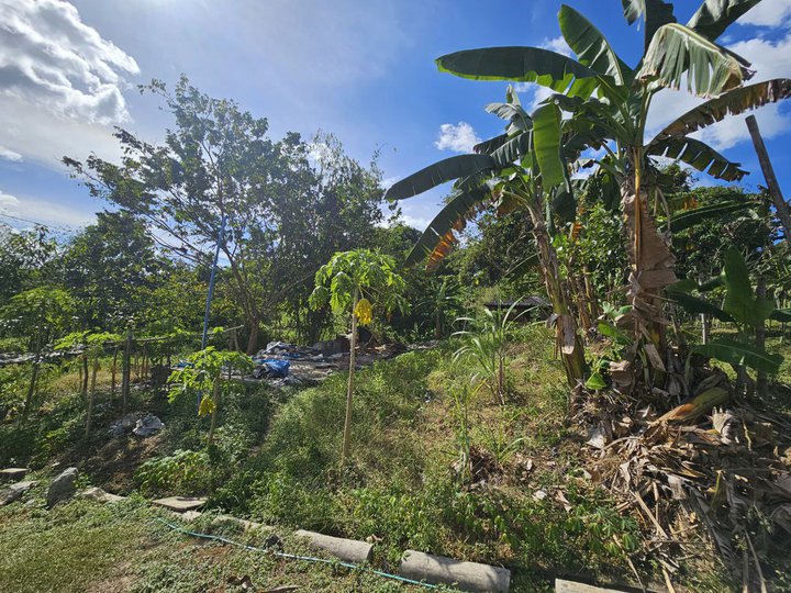 RUSH FOR SALE! Residential Lot in Timberland Heights, San Mateo, Rizal