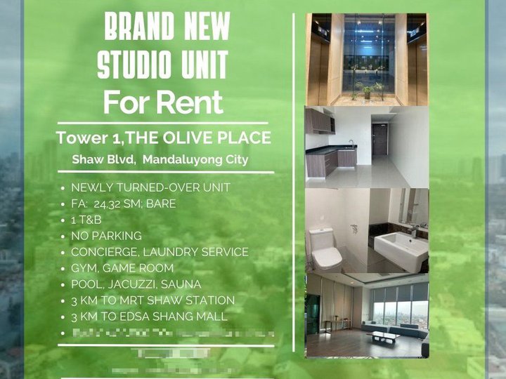 A Brand New Studio Unit at The Olive Place For Rent in Mandaluyong