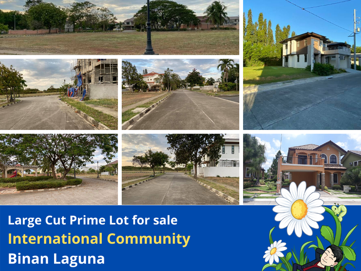 [ Video Tour ] Prime Residential Community Big Lot Binan Laguna