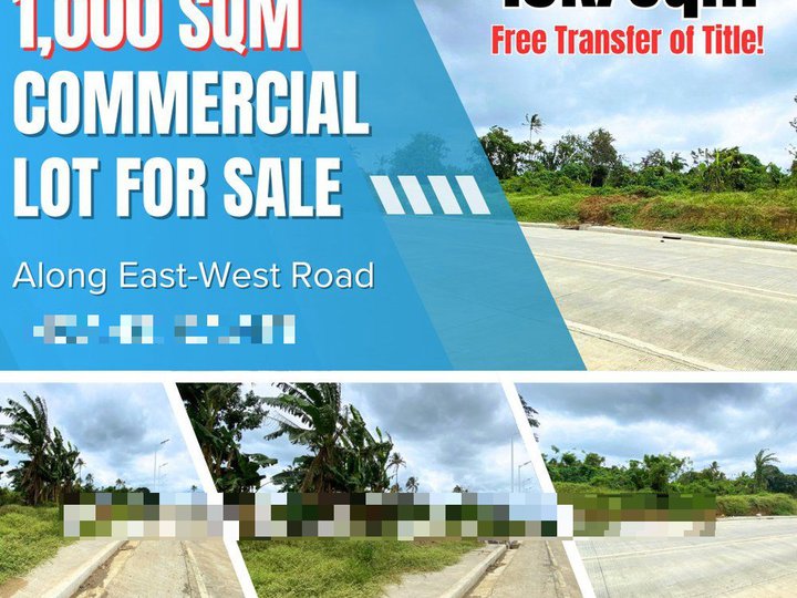 Installment 1,000 sqm up to Hectares Commercial/Reisdential Lot for Sale (Along Hway East West Rd)