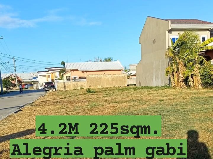 225 sqm inside high end subdivision Lot For Sale in Cordova Cebu