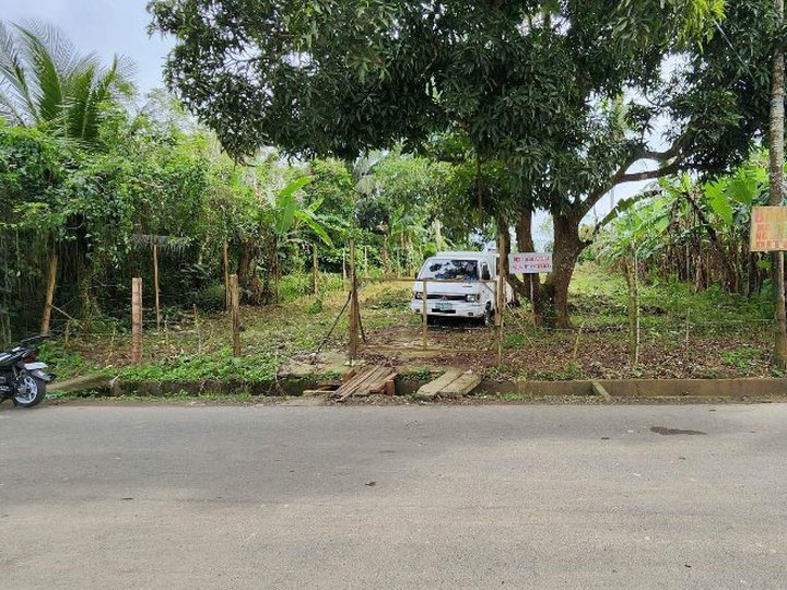1,333 sqm Residential Farm for sale in Silang Cavite good for events place