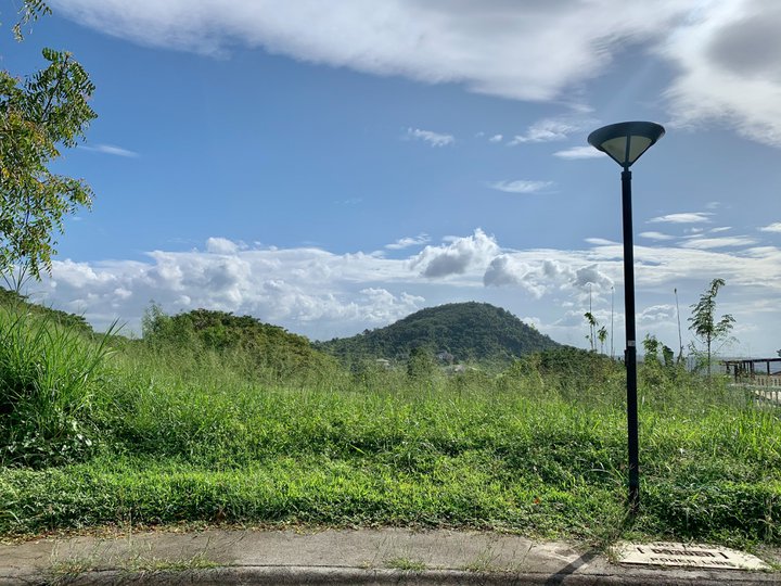 Prime Lot For Sale in Ayala Greenfield Estates