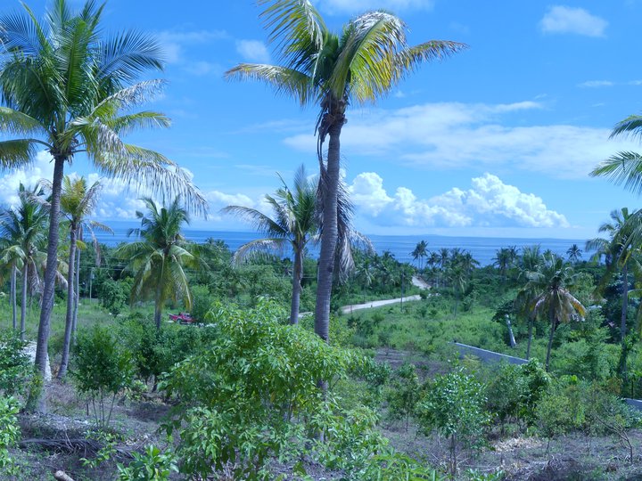 3975 sqm Residential Lot For Sale in Alcoy Cebu [Lots 🚜] (October 2026 ...