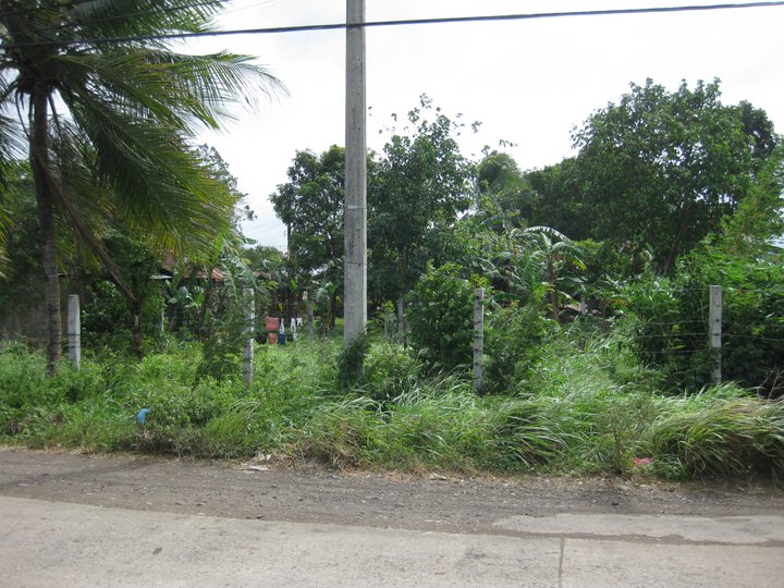 Paglaum  210 sqm Residential Lot For Sale in Brgy. Mansilingan Bacolod