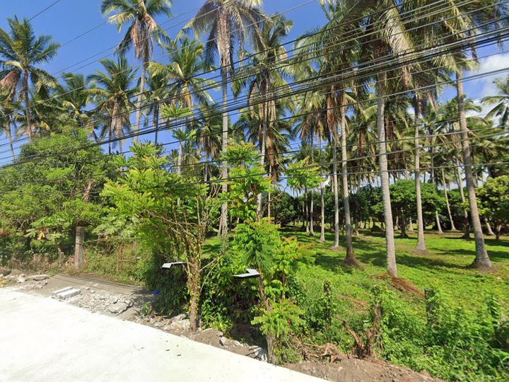 7,780 sqm Agricultural Farm For Rent in Pagsanjan Laguna