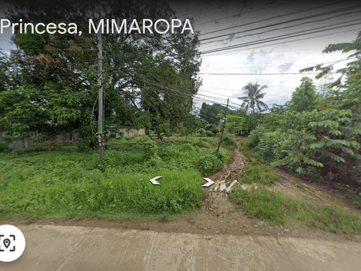 2500 sqm Commercial Lot located in Bgy San jose Puerto Princesa City