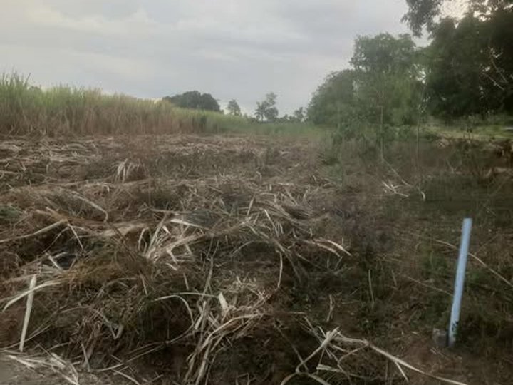 1,313 sqm Residential Farm For Sale in Tuy Batangas