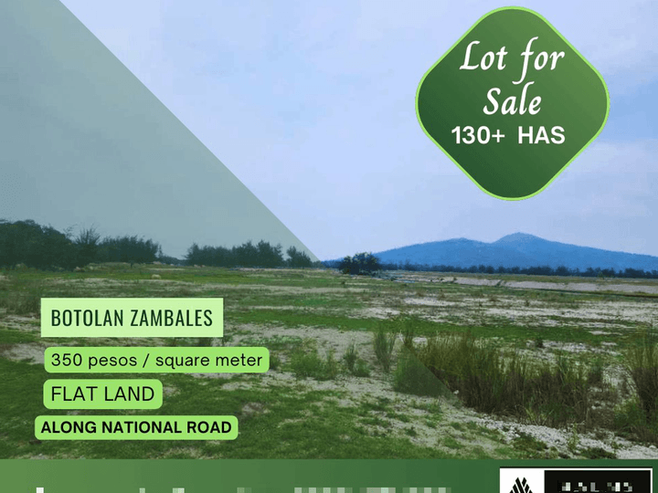 Raw Land / Lot for Sale in Botolan Zambales ideal for Solar , Housing etc