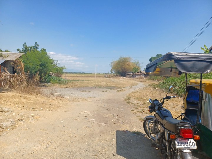 Residential Lot for Sale in Villasis, Pangasinan