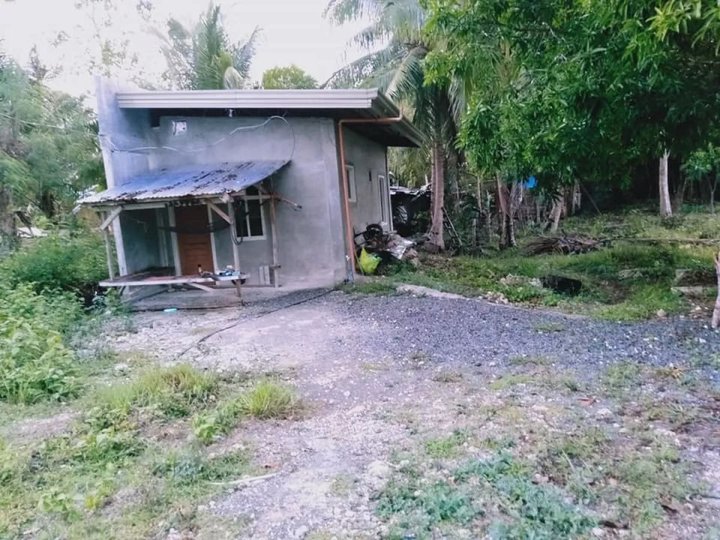 394 sqm clean title with a small house near highway & beaches Panglao