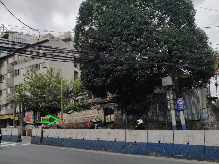 Property for Sale along Pasig Blvd Arayat St beside Rizal Medical Ctr