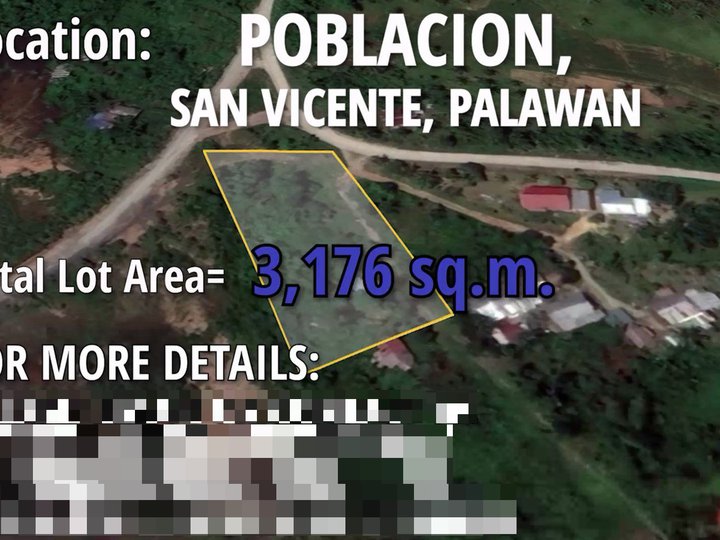 RESIDENTIAL LOT FOR SALE, 5 minutes away from San Vicente, Palawan Airport