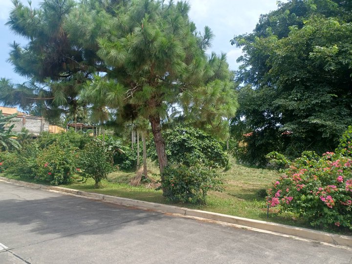 1041 sqm Residential Lot