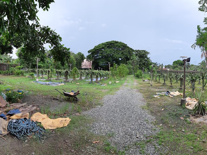 5,972 sqm Residential Farm For Sale in Malolos Bulacan