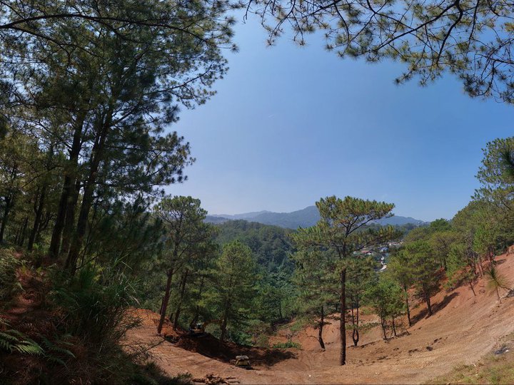 NEW RESIDENTIAL LOT FOR SALE IN BAGUIO CITY